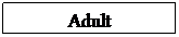 Text Box: Adult 
